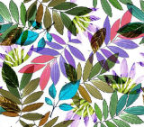Colorful Leaves Printed Nylon Fabric for Swimwear (ASQ101)
