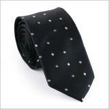 New Design Polyester Woven Necktie (844-10)