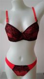 Push up Microfiber Bra and Panty Set with Nice embroidery  Lace (CS16912)