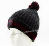 Customized Promotion Knitting Hat with Pompom