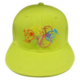 Popular Hat with Custom Logo Nw044