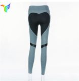 Factory Price Running Compressive OEM Woman Gym Clothes