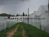 Agricultural Product Fruit Fly Nets /Vegetables Anti Fly Net /Greenhouse Anti Insect Net