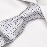 Men's High Quality 100% Woven Silk Tie (1209-11)