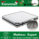 Bounce Steel Continous Spring Mattress Cheap Price High Quality