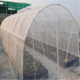 Agricultural Products Crop Insect Net