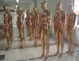Fiberglass Chrome Male Mannequin with High Quality