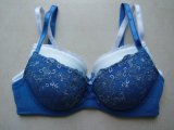 Push up Embroidered Bra