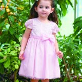 Made in China Beautiful Flower Girl Dress for 7 Years Old