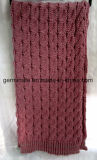 Fashion Cable Knitted Scarf with Rib or Tassel (Hjs21)