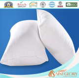 20*30 Inch Cheap Polyester Cushion Pillow