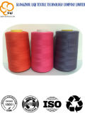 Hot-Selling 100% Polyester Embroidery Thread Bird Embroidery Thread