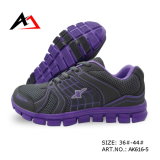 Walking Casual Shoes Leisure Running Sports Footwear for Women (AK616-5)