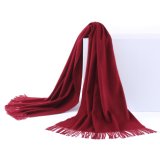 High Quality Cozy Winter Pashmina Scarves Shawl with Tassel (LS-CM-1006)
