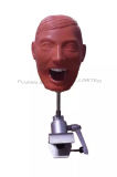 Dental Techniques Auxiliary Training Manikin Adult & Bench or Chair Mount for Student