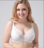 Wholesale Plus Size Women Underwear White Bra with B. C. D. E Cup
