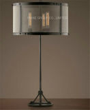 Interior Decorative Table/Desk Lamp with Metal for Bedside or Study