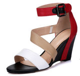New Collection Fashion High Heels Women Wedge Sandals (HS17-80)