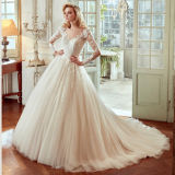 Sleeves Bridal Ball Gowns Backless Lace Tulle Wedding Dress Tb189
