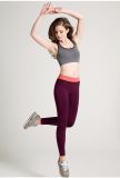 Women's High Waist Elastic Sport Leggings Fitness Workout Pants
