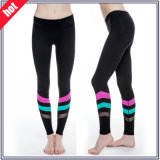 Dry Fit Women Gym Wear Sexy Fitness Yoga Pants Leggings