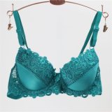 High-Class Embroidery Lace Design Bra for Women