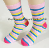 Bright Color Rainbow Strips Ove The Calf Socks