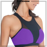 Sports Manufacturer Woman Fitness Clothing Comfortable Sports Bras