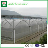 Agriculture/Commercial Polyethylene Film Tent with Cooling System