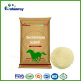 Equestrian Horse Saccharomyces Boulardii Yeast Animal Feed Additives