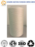 Fabric Textile Use 100% Polyester Sewing Thread 30s/2 by China Factory