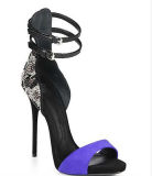 Fashion High Heel Ankle Strap Women Sandal (W 157)