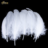 High Quality Duck Feather for Pillow Filling