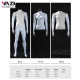 Female Bust and Male Mannequin Torso for Sports Garments