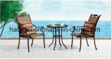 Outdoor /Rattan / Garden / Patio / Hotel Furniture Texilene Cloth Chair & Table Set (HS 2039C &HS 6060ET)