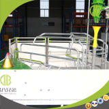 Pig Farming Equipment Agricultural Equipment Price Animal Cage