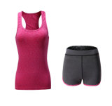 2PCS/Set Hot Sale Europe and America Gym Fitness Workout Suit Clothing