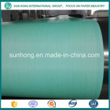 Single Layer Forming Fabric for Paper Machine
