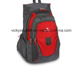 Quality Double Shoulder Leisure Travel Sports Laptop Computer Backpack (CY3698)