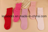 Ladies Fashion Socks New Design