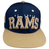 Two Tone Fitted Hat with RAM Logo Sk1720