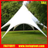 Aluminum Pole High Peak Star Shaped Tent for Event