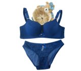 2016 Fashional Bra and Panty for Sexy Ladies (EPB266)