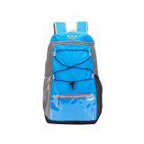 Deluxe Fashion Outdoor Sports Backpacks Sh-8304