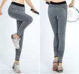Wholesales High Quality Fitness Nylon Yoga Pants (14241)