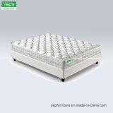 Compressed Pocket Coil Single Bed Mattress in Cheap Price (EP330N)
