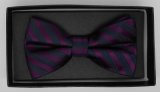 New Design Fashion Men's Woven Bow Tie (DSCN0015)