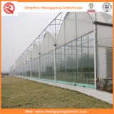 Agriculture/Commercial Plastic Film Tent with Cooling System