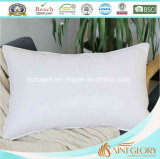 Natural White Duck Goose Down Feather Pillow