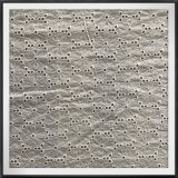 Cotton Fabric Cotton Eyelet Lace for Dress